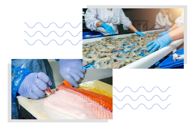 Pure Quality, Right from the Farm